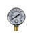 Accurate Pool Pressure Monitoring with 2.75" Side Mount Stainless Steel Gauge