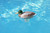 16" Mallard Duck Floating Swimming Pool Chlorine Dispenser