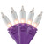 50-Count Clear Incandescent Mini Christmas Light Set, 19ft Purple Wire