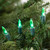 50ct Green LED Mini Christmas Lights, 16.25ft Green Wire