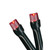 Battery Operated LED Christmas Lights - Red - 9.5' Black Wire - 20ct