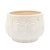 Ceramic Outdoor Grandpa Planter - 6.5" - White and Beige