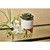 Striped Ceramic Planter on Stand - 7" - White and Brown