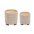 Set of 2 Ivory and Beige Tribal Round Ceramic Outdoor Footed Planters 8"