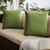Set of 2 Sunbrella Spectrum Cilantro Outdoor Pillow, 18"