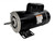 Upgrade Your Pool Performance with a 3 HP Dual-Speed Black Round Flange Pool Motor