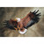 31" Large Bald Eagle Hand Painted Outdoor Wall Statue