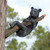 17" Bear Cub Hanging on a Branch Outdoor Garden Statue
