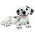 10" Dalmation Puppy Dog Outdoor Garden Statue