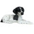 14" Resting Black and White Pointer Puppy Statue