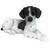14" Resting Black and White Pointer Puppy Statue