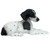 14" Resting Black and White Pointer Puppy Statue