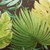 Island Paradise Tufted Patio Wicker Loveseat Cushion - 44" - Green and Brown
