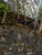 128" Navy and Red Heavy Duty Lightweight Traveler's Nylon Hammock