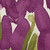 14" x 20" Purple and Green Tulip Beauty Rectangular Outdoor Throw Pillow