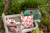 18" x 18" White and Orange Lobster Outdoor Throw Pillow