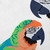 16" x 16" White and Orange Macaw Outdoor Throw Pillow