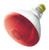 Incandescent Weatherproof 100 Watt Indoor/Outdoor Red Floodlight Bulb