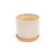 Set of 2 Beige and Ivory Ceramic Outdoor Planters with Saucers 8"