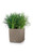 16" Sand Brown All In One Cube Wicker Planter