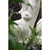 18.5" Cream White Distressed Vintage Style Small Rabbit Outdoor Figurine