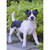 16" Standing Jack Russell Dog Outdoor Garden Statue