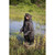26.5" Growling Big Bear Outdoor Garden Statue
