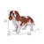 16.25" Brown and White King Charles Spaniel Standing Statue