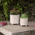 Set of 2 Ivory and Beige Tribal Footed Ceramic Outdoor Planters 8"