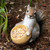 10.5" Brown Contemporary Squirrel and Acorn Bird Feeder