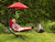 84" Red Outdoor Lounge Chair with an Overhanging Umbrella