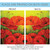 Beautiful Poppy Outdoor Garden Flag 18" x 12.5"