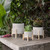 Tribal Ceramic Outdoor Planter with Stand - 7" - Cream and Beige