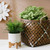 Dots Ceramic Planter on Stand - 7" - White and Brown