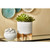 Striped Ceramic Planter on Stand - 9" - White and Brown