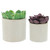 Set of 2 White and Tan Brown Dotted Round Ceramic Planters 7"