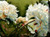 Outdoor Canvas White Lord and Lady Rectangular Wall Art Decor 30" x 40"