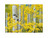 Yellow and White Aspen Trees Outdoor Canvas Rectangular Wall Art Decor 30" x 40"