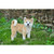 14" Standing Akita Dog Outdoor Garden Statue