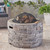 31.5" Fossil Gray Contemporary Outdoor Patio Round Fire Pit