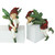 Charming 9" Set of 2 Relaxing Elves Outdoor Shelf Garden Statues | Hand-Painted Resin | Holiday Décor