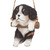 8" Hanging Cavalier Puppy Dog on a Perch Outdoor Garden Statue