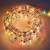216-Count Multi Color LED Mini Christmas Rope Lights, 18ft Clear Wire