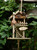 Tree House Outdoor Bird Feeder - 12" - Brown and Green