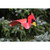 16" Red Cardinal Garden Stake