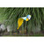 22" Royal Blue and Gold Macaw Garden Stake