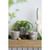 Set of 3 Blue and White Botanical Style Floral Naturespire Planters 5.5"