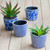 Set of 4 Blue and White Garden Floral Terracotta Large Planters 7.5"
