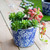 Set of 4 Blue and White Garden Floral Terracotta Large Planters 7.5"