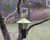 10" Green Heavy Duty Prairie Bird Feeder for Small Birds